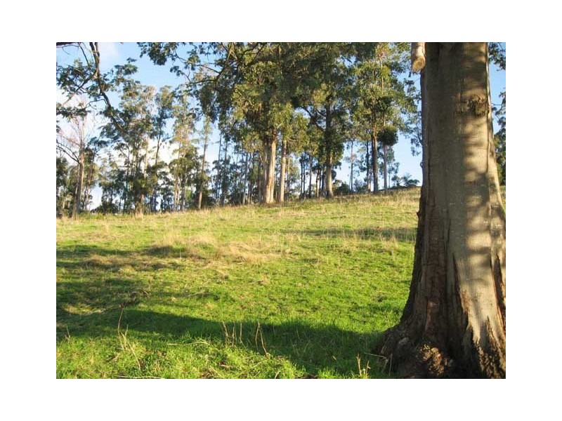 3197 Sheffield Road, Railton TAS 7305