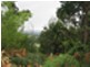 Lot 5 Eagle Ridge Drive, South Spreyton TAS 7310