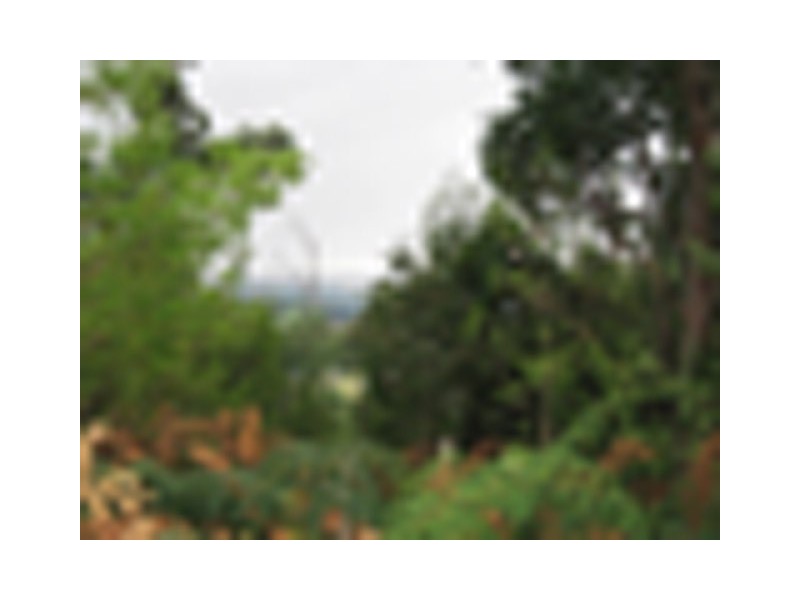 Lot 5 Eagle Ridge Drive, South Spreyton TAS 7310