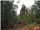 Lot 5 Eagle Ridge Drive, South Spreyton TAS 7310