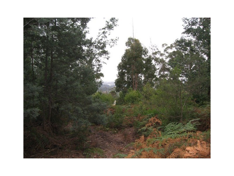 Lot 5 Eagle Ridge Drive, South Spreyton TAS 7310