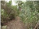 Lot 5 Eagle Ridge Drive, South Spreyton TAS 7310