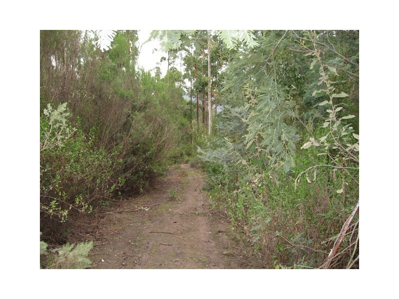 Lot 5 Eagle Ridge Drive, South Spreyton TAS 7310