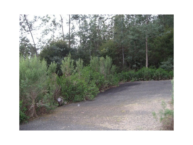 Lot 5 Eagle Ridge Drive, South Spreyton TAS 7310
