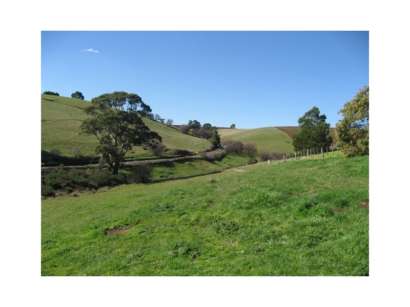 31 George Street, Forth TAS 7310