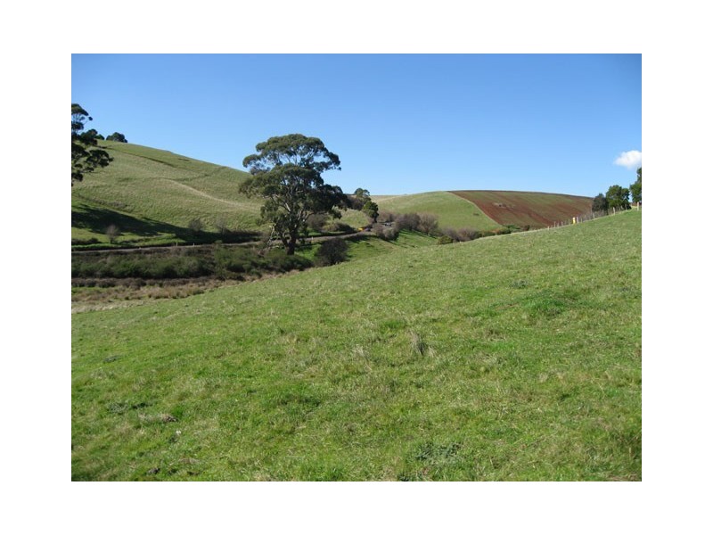 31 George Street, Forth TAS 7310