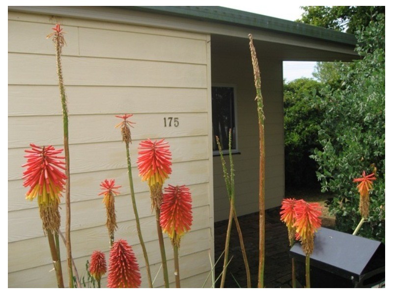 175 Main Street, Sheffield TAS 7306