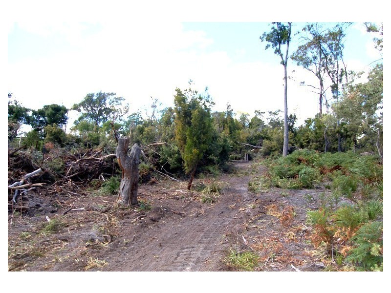 Lot 9 Anstey Street, Squeaking Point TAS 7307