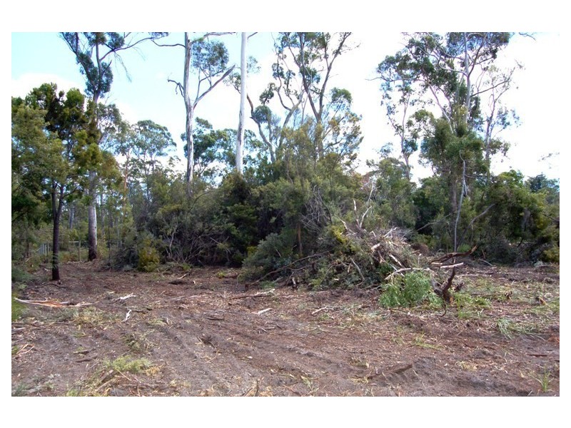 Lot 9 Anstey Street, Squeaking Point TAS 7307