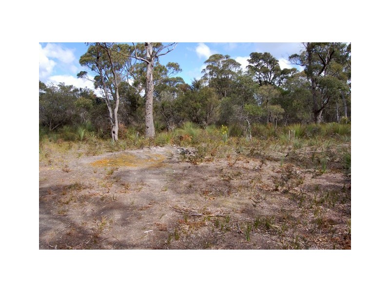 11 Marana Drive, Bakers Beach TAS 7307