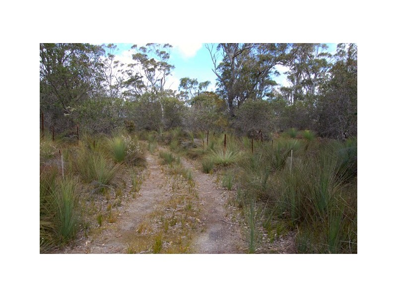 11 Marana Drive, Bakers Beach TAS 7307