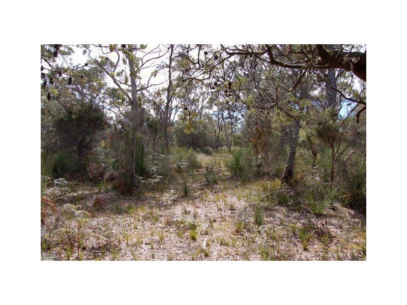 11 Marana Drive, Bakers Beach TAS 7307