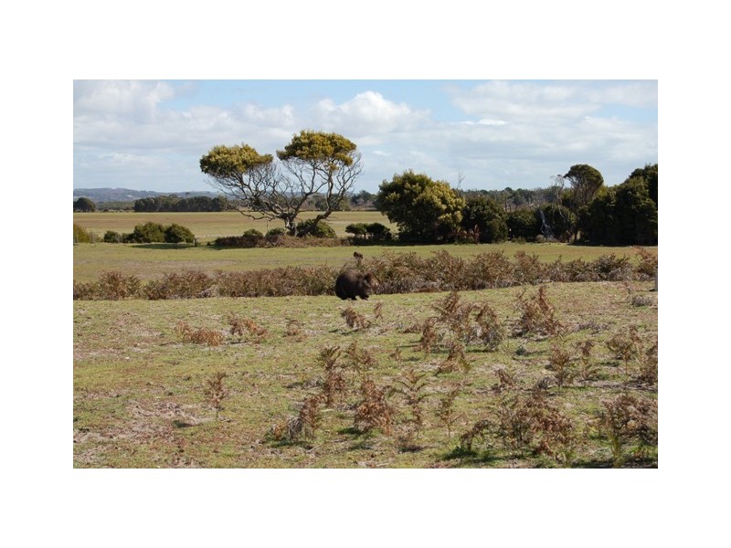 11 Marana Drive, Bakers Beach TAS 7307