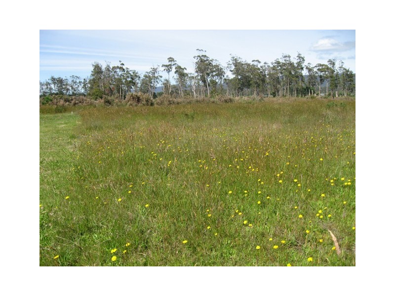 Lot 6 Briar Court, Latrobe TAS 7307