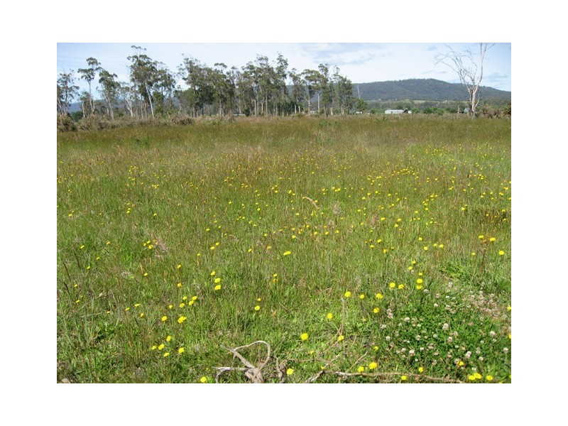 Lot 6 Briar Court, Latrobe TAS 7307