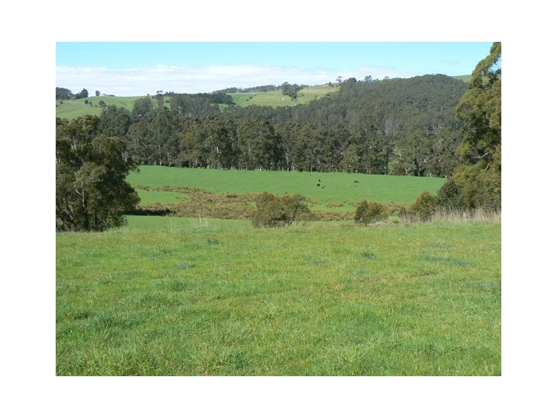 29 Farquhar Place, Forth TAS 7310