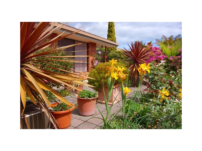 11/1 Seahaven Crescent, Shearwater TAS 7307