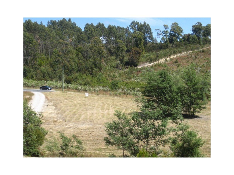 Lot 7 Castle Drive, Tarleton TAS 7310
