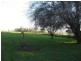 1 Forest Hill, Latrobe TAS 7307
