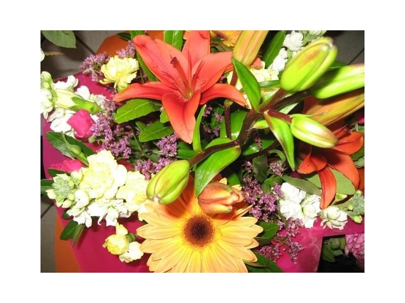 56-58 Gilbert Street, Latrobe TAS 7307