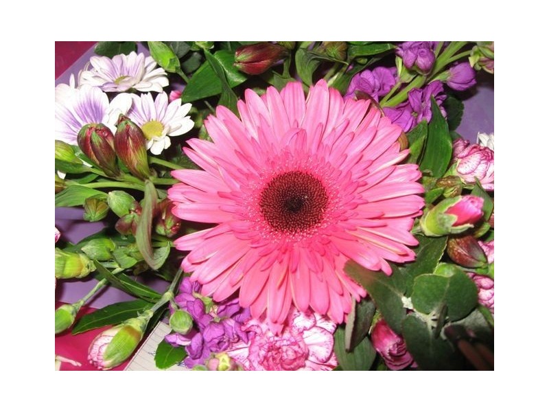 56-58 Gilbert Street, Latrobe TAS 7307