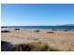 Hawley Beach TAS 7307