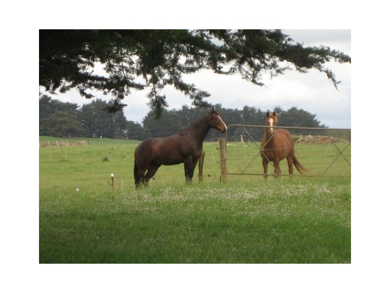 Lower Wilmot TAS 7310