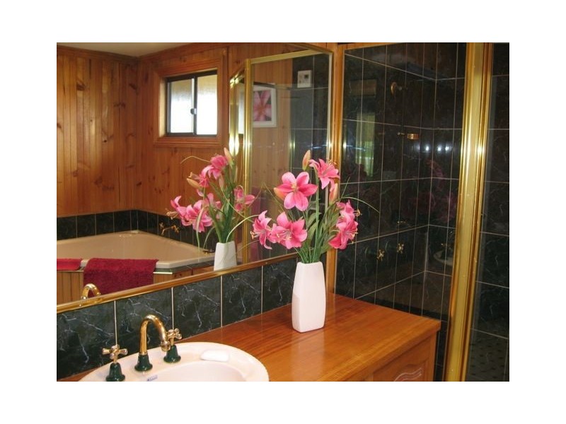 Lower Wilmot TAS 7310