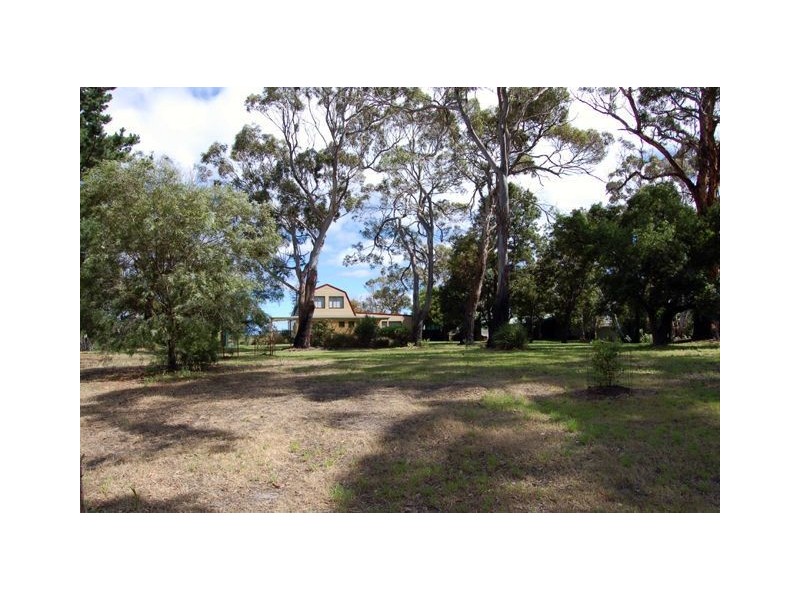 Bakers Beach TAS 7307