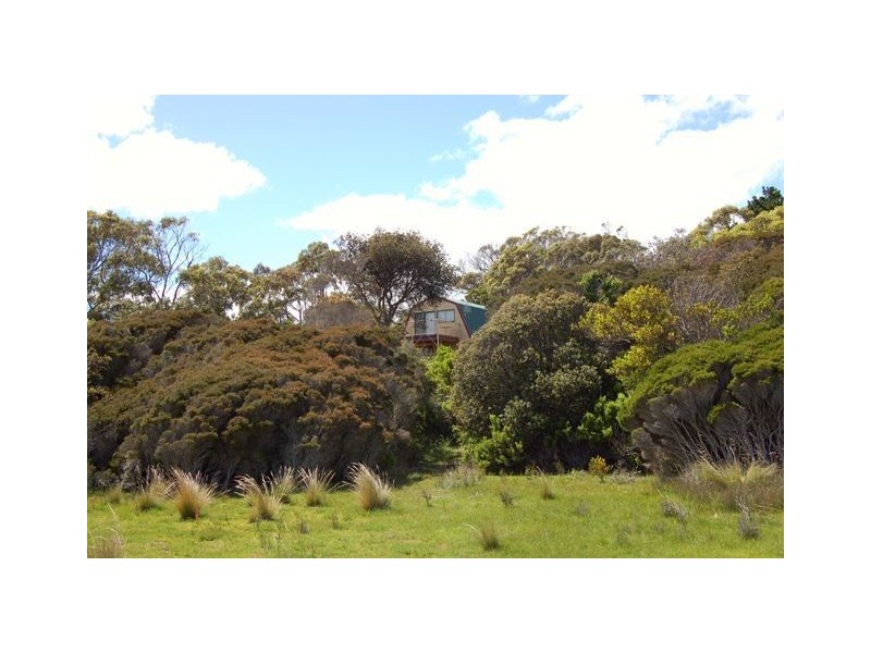 Bakers Beach TAS 7307
