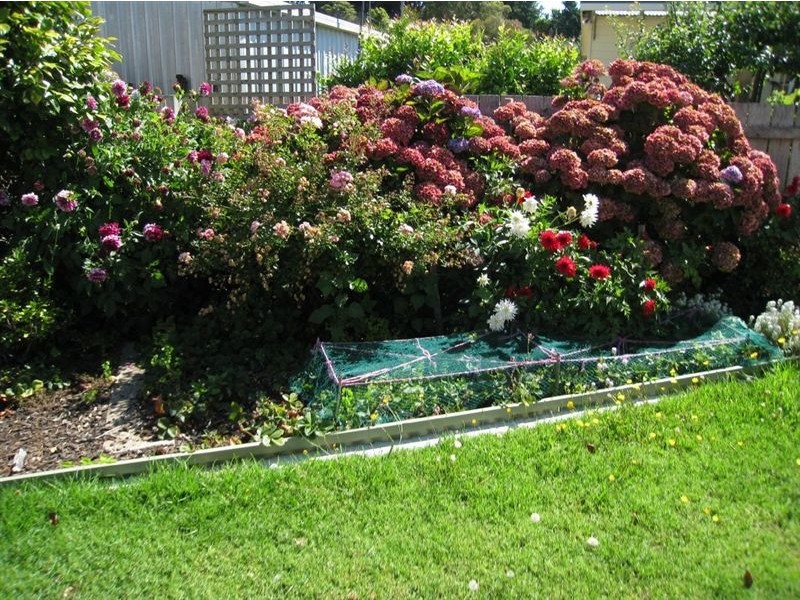 36 King Edward Street, Penguin TAS 7316