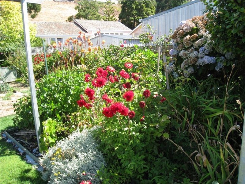 36 King Edward Street, Penguin TAS 7316