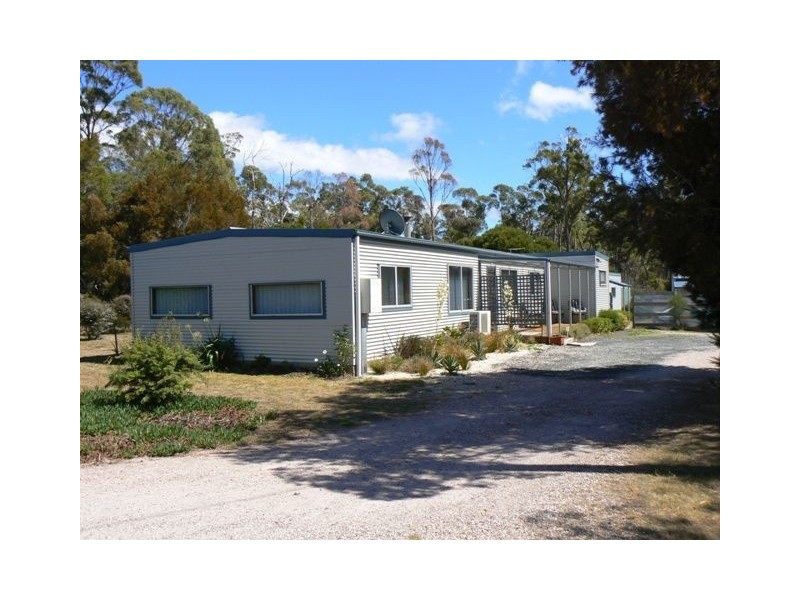 Squeaking Point TAS 7307