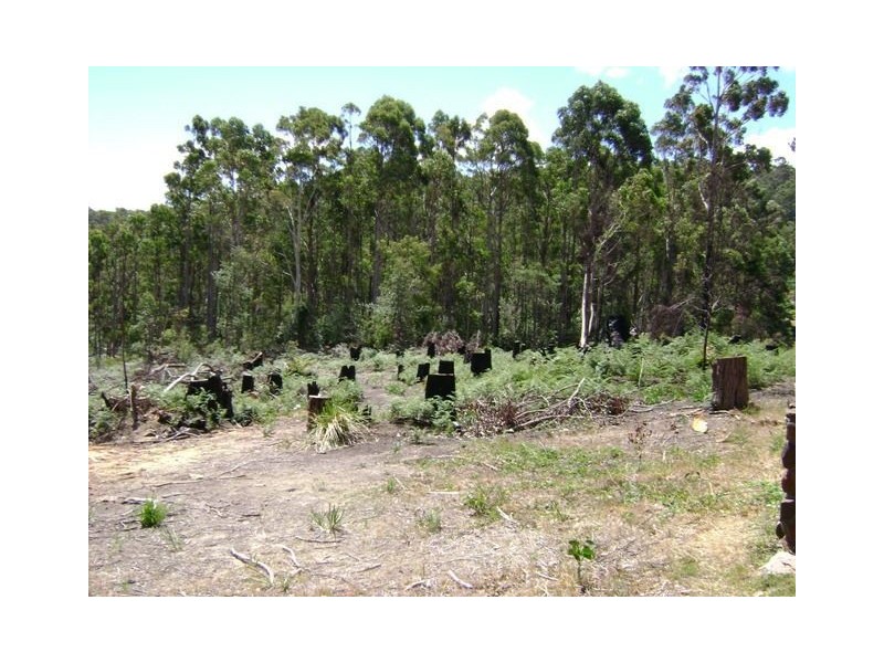 260 Kelcey Tier Road, Spreyton TAS 7310