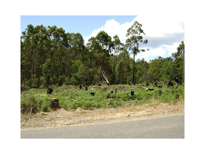 260 Kelcey Tier Road, Spreyton TAS 7310