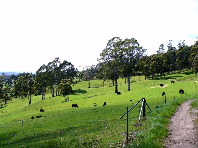 200 Gambles Road, Railton TAS 7305