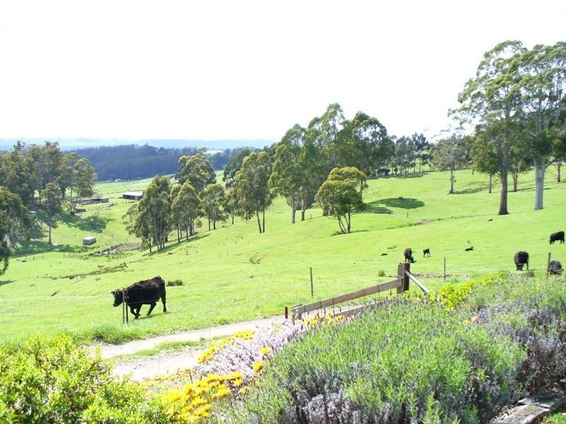 200 Gambles Road, Railton TAS 7305