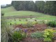 310 Back Road, Lower Wilmot TAS 7310