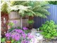 37 Raymond Avenue, Devonport TAS 7310