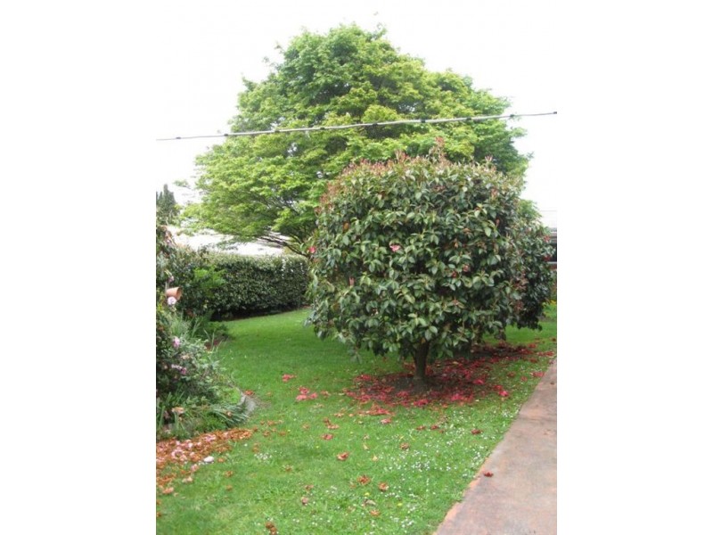 3 Vincent Crescent, Latrobe TAS 7307