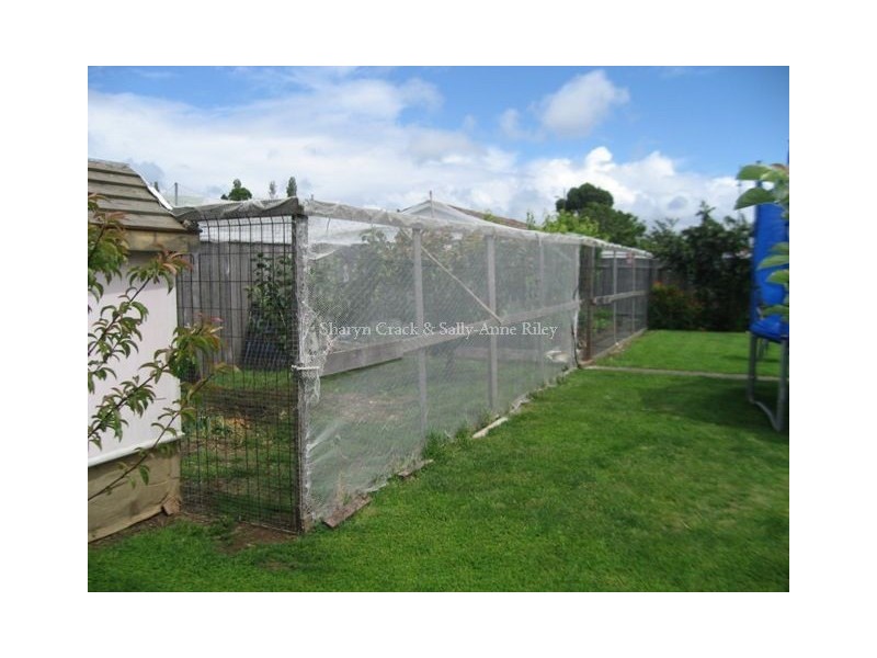 13 Cross Street, East Devonport TAS 7310