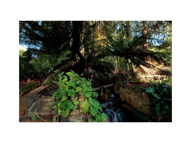 8 James Street, Forth TAS 7310