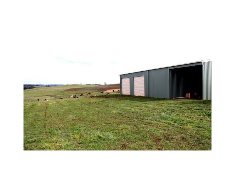 1134 Melrose Road, Lower Barrington TAS 7306