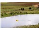 1134 Melrose Road, Lower Barrington TAS 7306