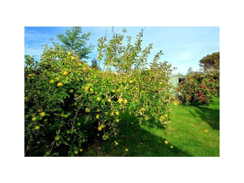 9 The Lee, Devonport TAS 7310