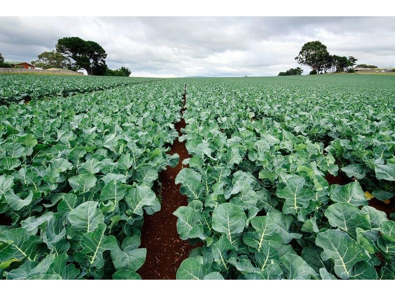 68 to 90 Torquay Road, East Devonport TAS 7310