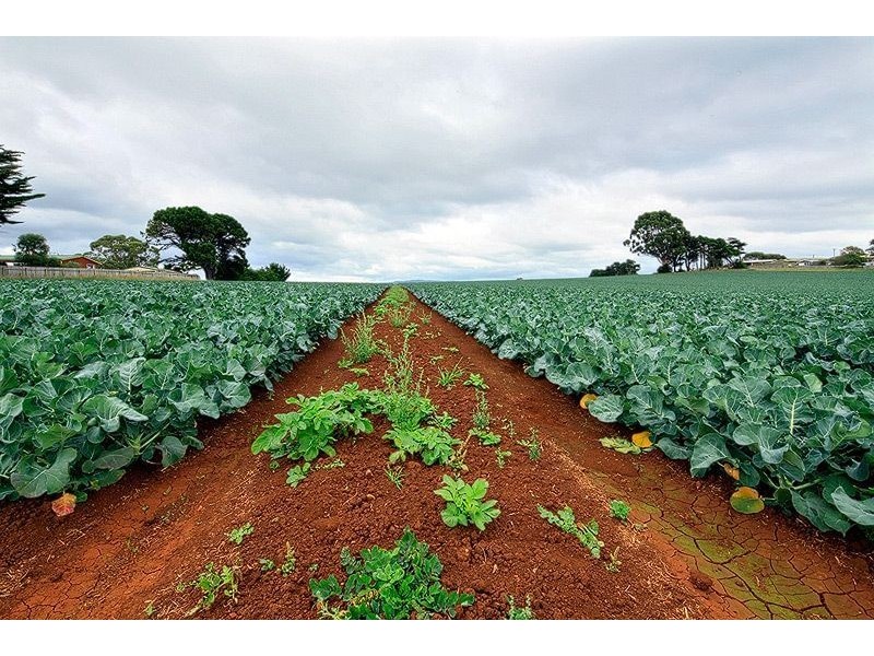 68 to 90 Torquay Road, East Devonport TAS 7310