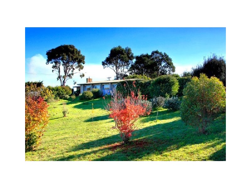 168 Wrights Lane, Moriarty TAS 7307