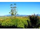 168 Wrights Lane, Moriarty TAS 7307