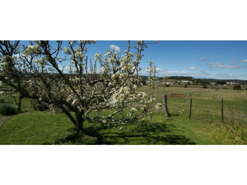 81 Kelcey Tier Road, Spreyton TAS 7310